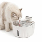 Fluffy white cat drinking fresh water from a modern automatic stainless steel pet fountain.