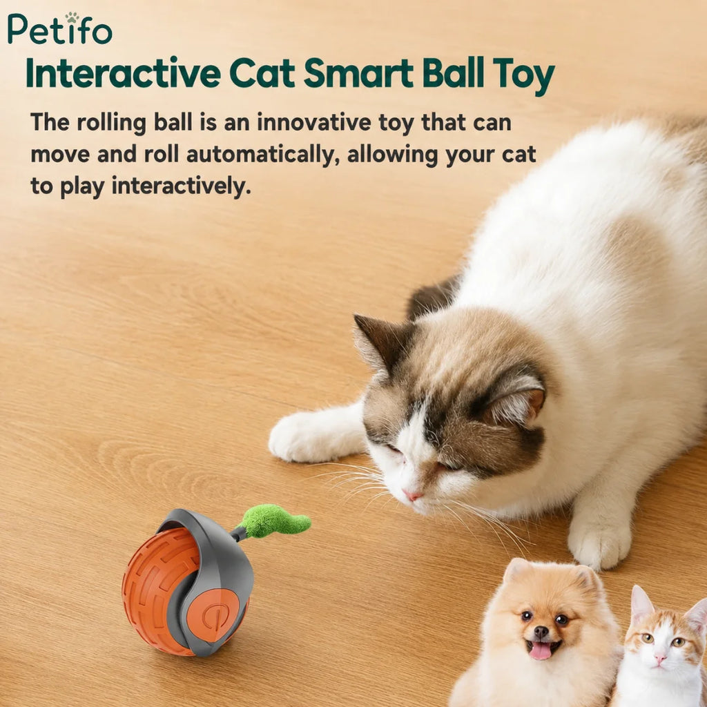 Automatic rolling cat ball toy designed to provide interactive play for cats and small pets.