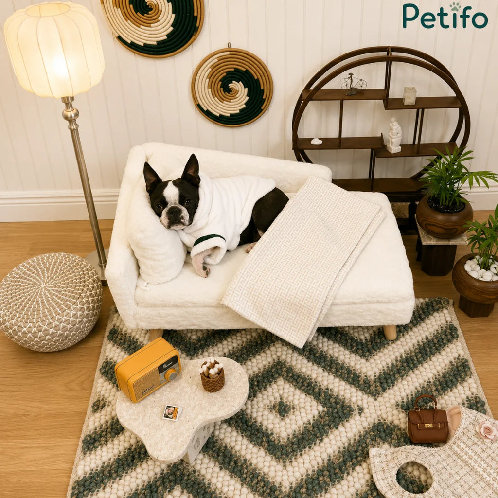 A Boston Terrier in a bathrobe relaxing on a luxury white plush pet sofa in a decorated living room.