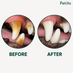 Before-and-after comparison close-up showing a dog's teeth heavily stained with tartar before treatment compared to clean, white teeth after using the Petifo product.
