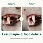 Before and after close-up comparison of cat teeth cleaning showing plaque and tartar removal.