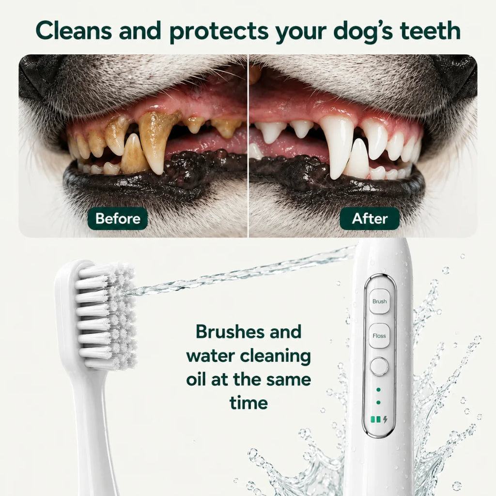 Before and after comparison of dog teeth cleaning with a 2-in-1 automatic pet toothbrush and water flosser.