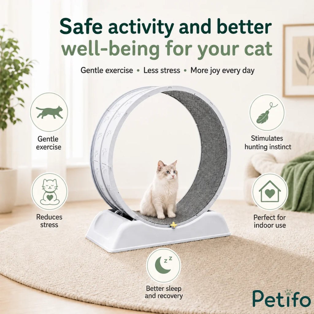Benefits of the Petifo cat exercise wheel, designed to provide safe indoor exercise, reduce stress, and stimulate your cat's hunting instincts.
