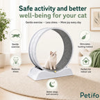 Benefits of the Petifo cat exercise wheel, designed to provide safe indoor exercise, reduce stress, and stimulate your cat's hunting instincts.