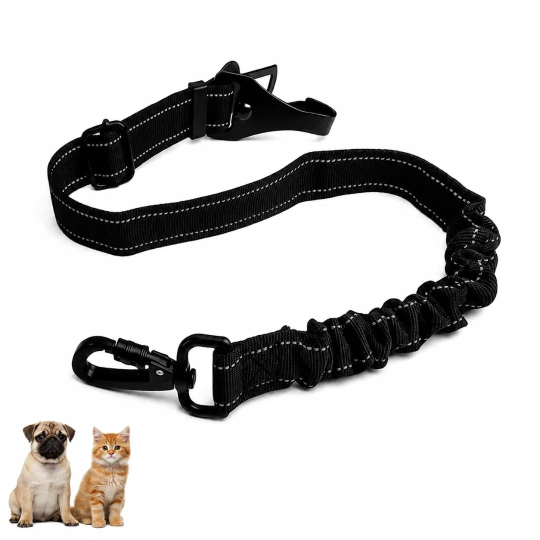 Black reflective bungee pet car seat belt with a sturdy metal clip alongside a small dog and cat.