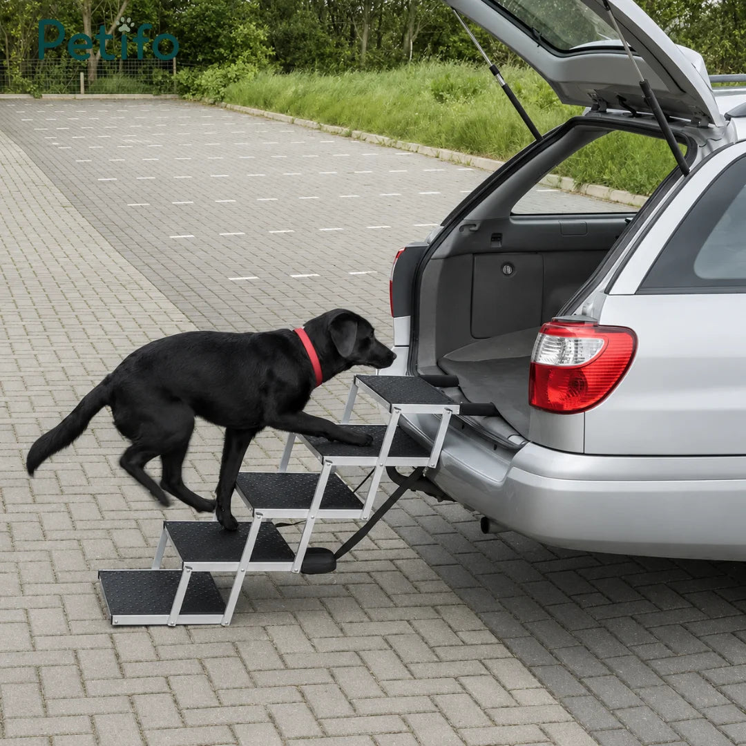 Black Labrador walking up a portable metal folding dog stair ramp attached to a silver SUV trunk.