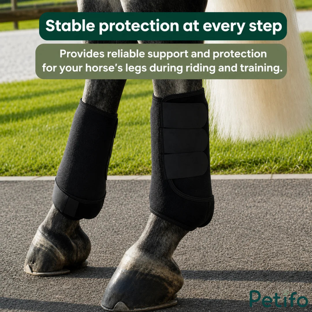Horse wearing black protective leg boots standing on paved ground outdoors during training.