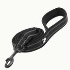 A black TrueLove Reflexfit reflective dog leash with a padded handle and durable metal clip.