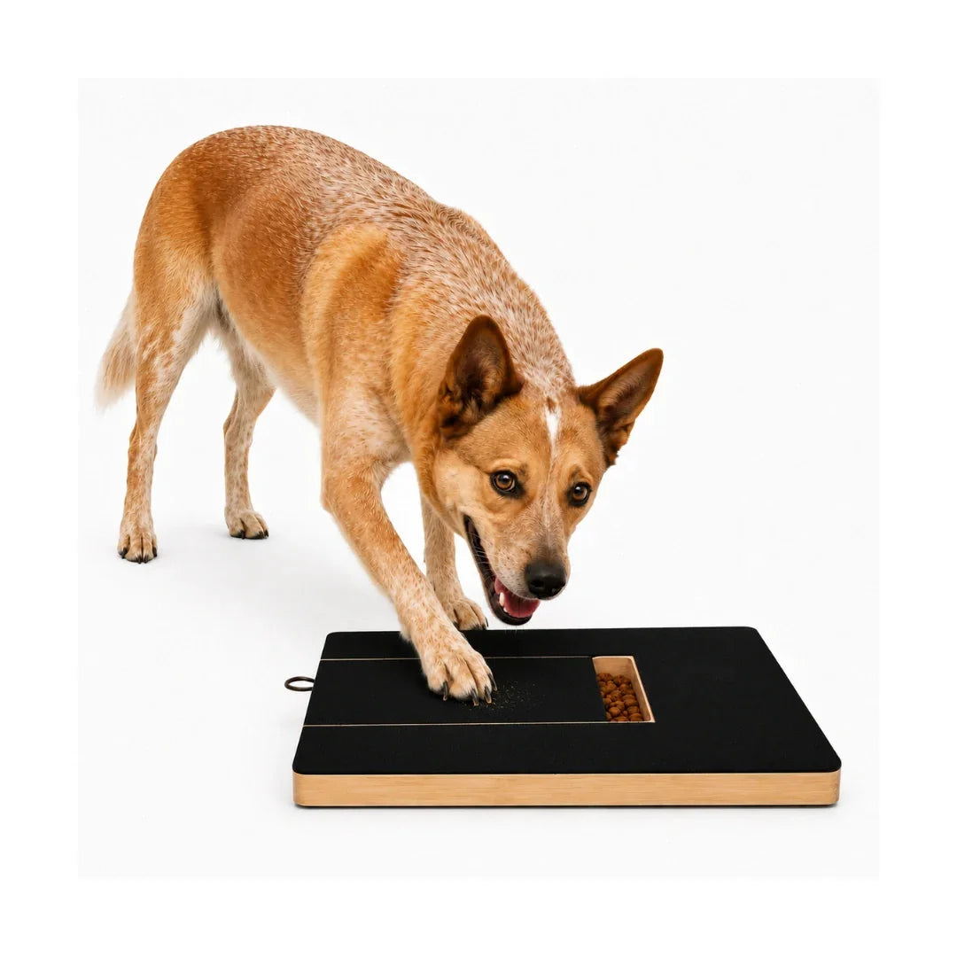 Brown dog scratching at a black and wooden puzzle board on a white background.