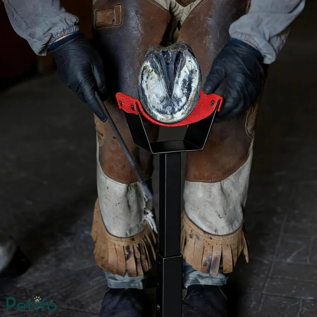 Farrier working on a horse's hoof resting on an adjustable black and orange hoof stand.