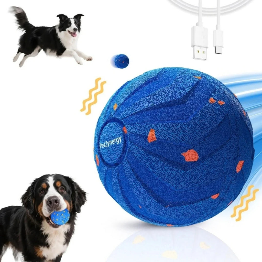 Promotional graphic showcasing a blue interactive dog ball, a charging cable, and two dogs playing.