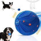 Promotional graphic showcasing a blue interactive dog ball, a charging cable, and two dogs playing.