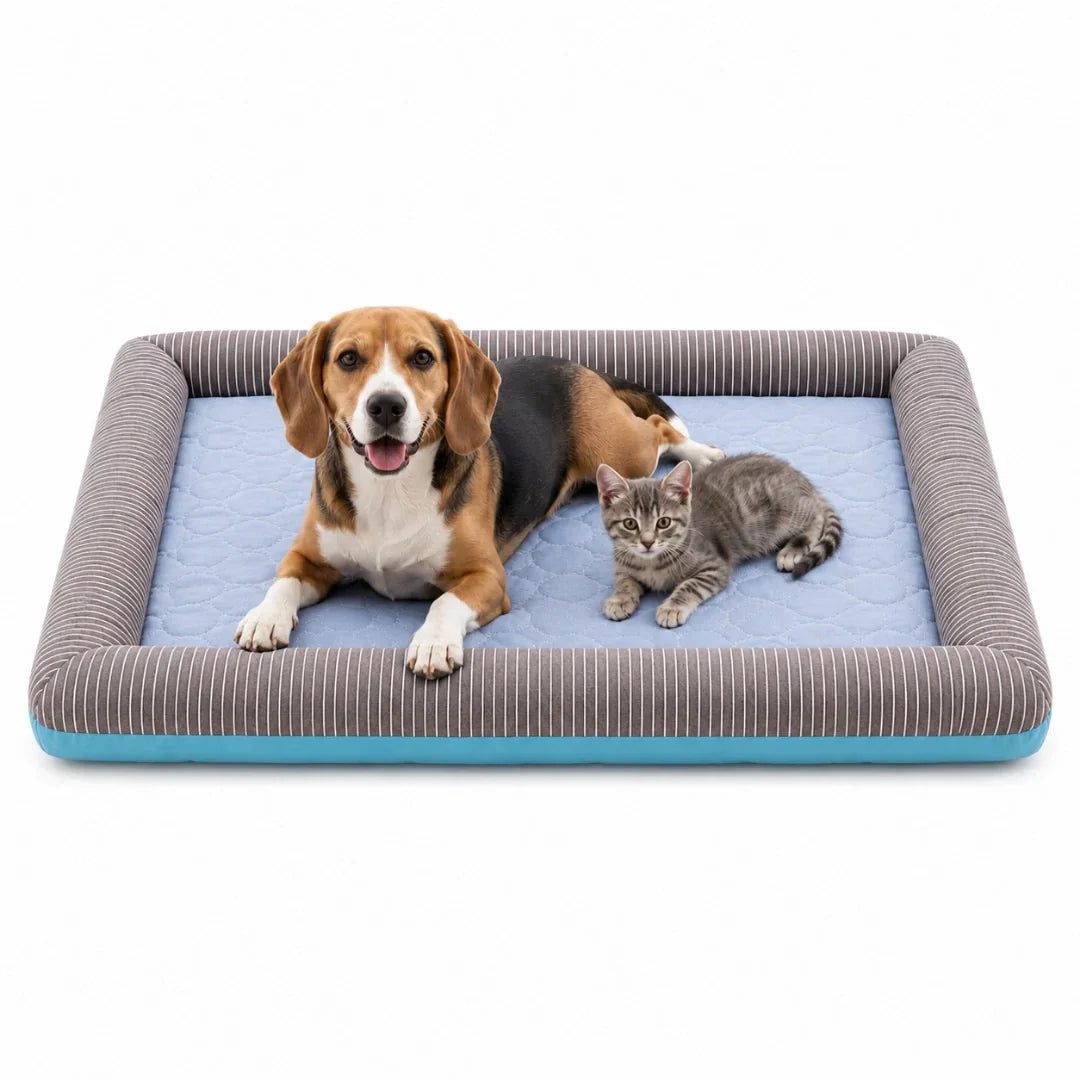 A beagle dog and a grey kitten resting together on a blue and grey striped cooling pet bed.