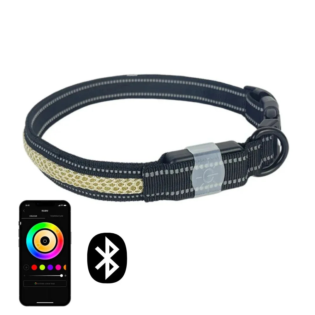 Black Bluetooth-enabled LED dog collar with an app control color wheel interface displayed alongside a Bluetooth icon.