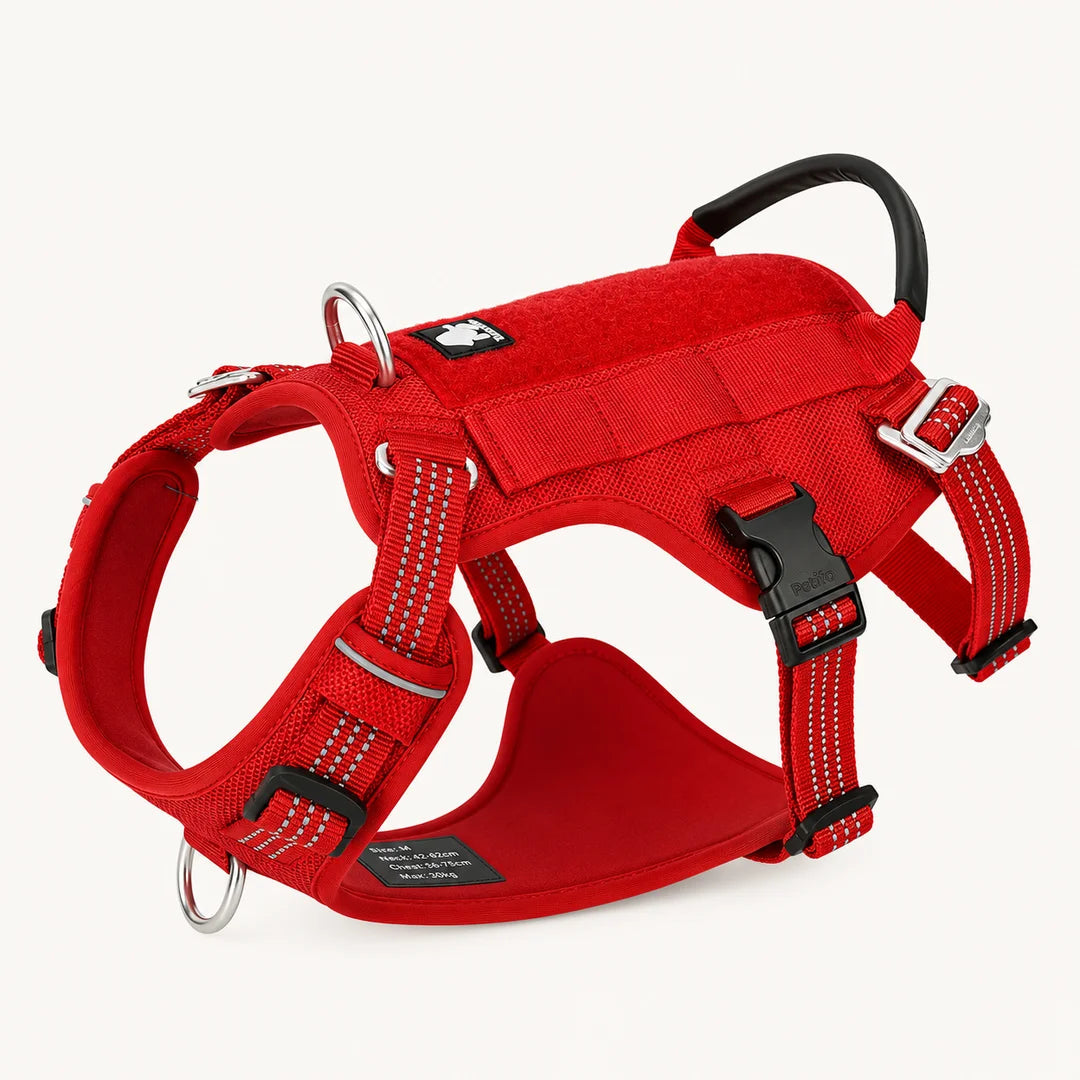 This bold red ProSafe dog harness combines high-durability construction with a secure design, making it an excellent choice for active dogs during their daily walks.