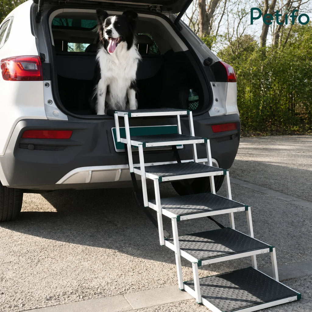 Border Collie sitting happily in the trunk of a car next to fully extended portable pet stairs.