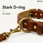 Close-up product view highlighting the robust and sturdy brass D-ring designed securely for leash attachment.