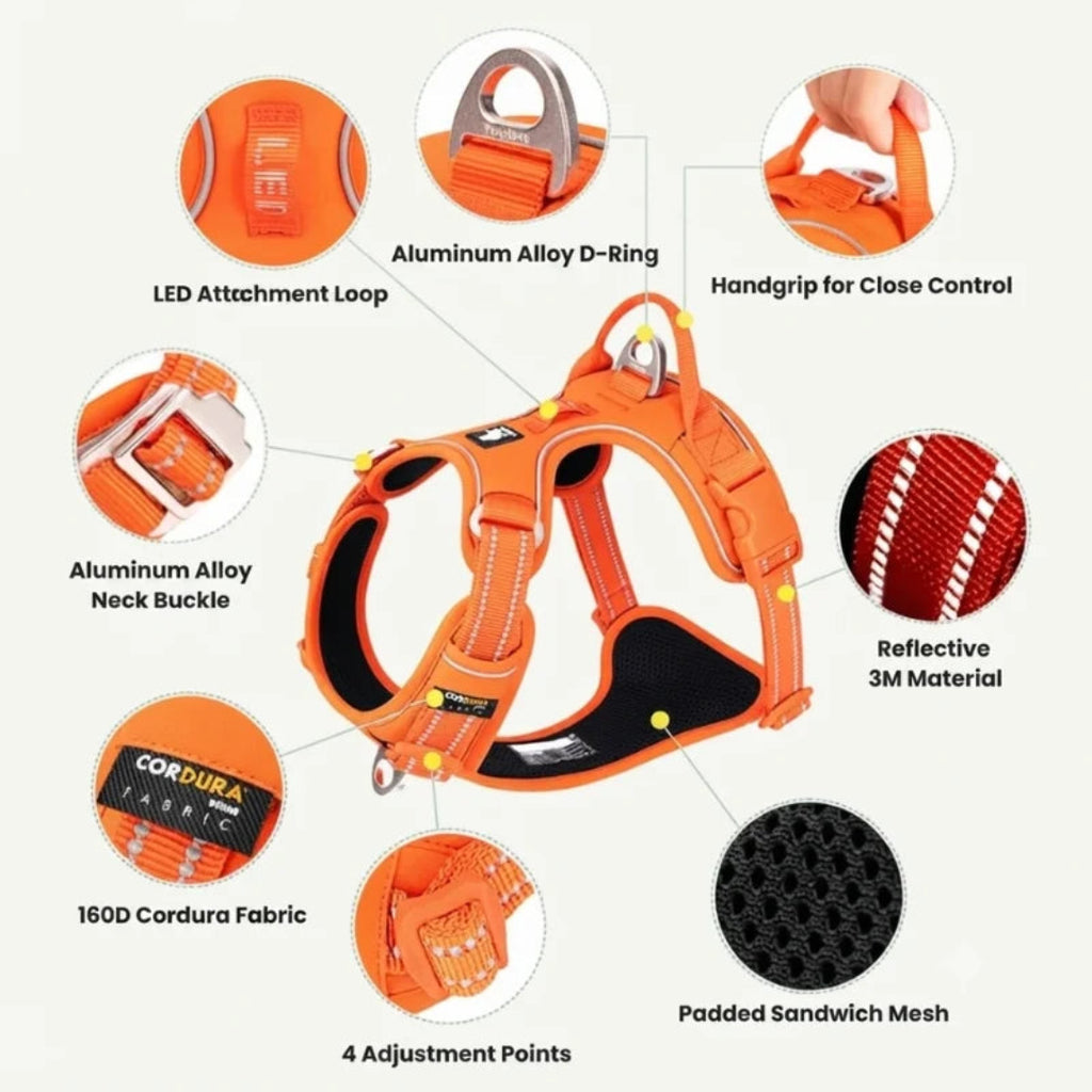 Technical breakdown diagram showing adjustment points and key features of the Truelove dog harness.