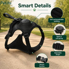 Detailed product feature breakdown showcasing the soft breathable padding, built-in coil spring, adjustable straps, and secure buckles of the black harness.