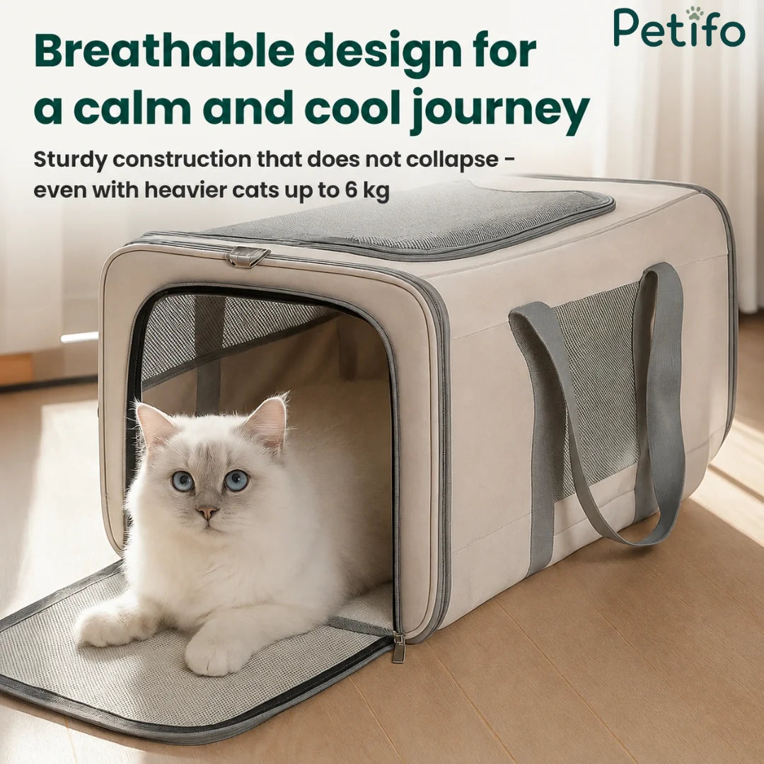 A beige breathable pet travel carrier with a cat inside, featuring a sturdy, non-collapse design for pets up to 6 kg.