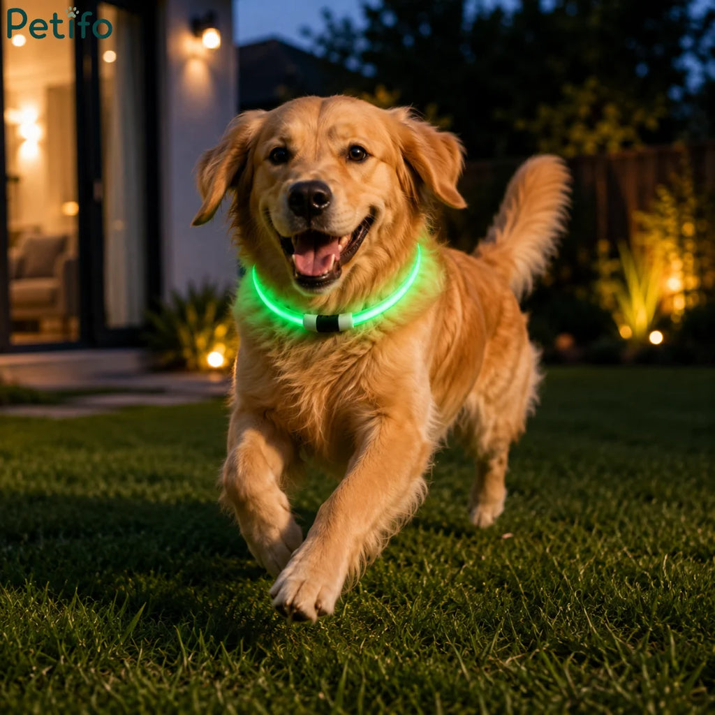 Happy golden retriever running outdoors at night wearing a bright green LED safety collar.