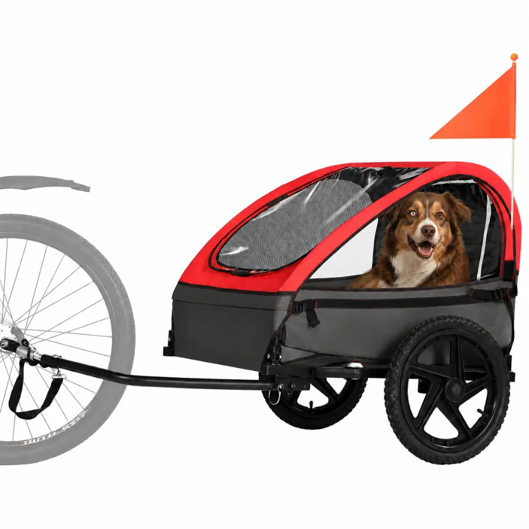 A bright red and grey pet bike trailer attached to a bicycle, with an Australian Shepherd sitting comfortably inside.