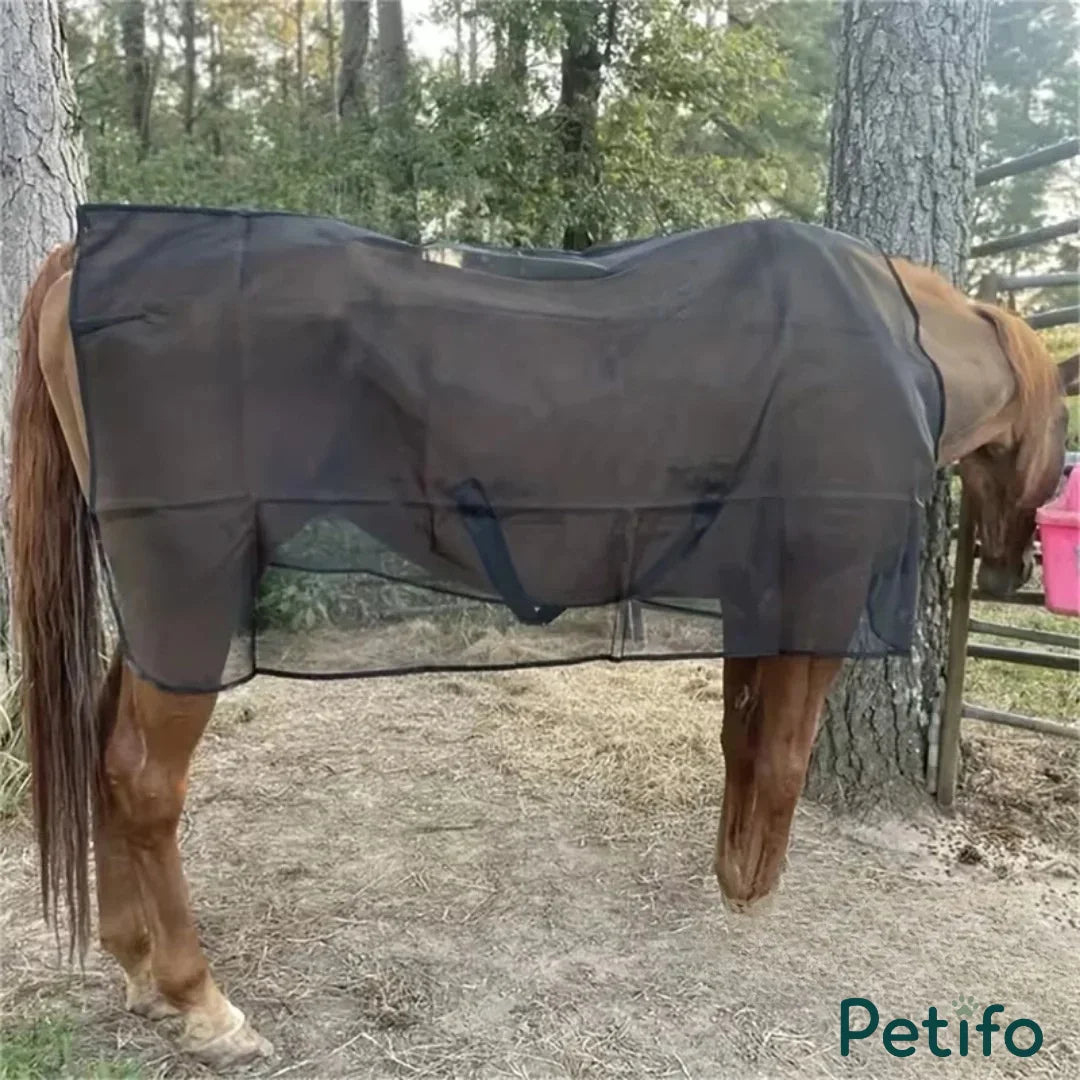 Brown horse wearing a black mesh fly sheet standing outdoors near trees.