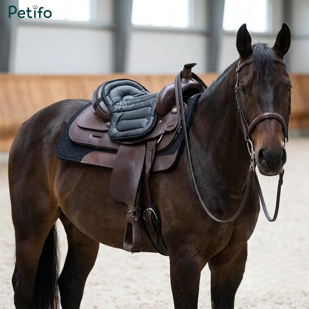 Black padded horse saddle cushion fitted securely on a brown horse in an indoor arena.