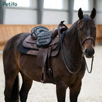 Dark brown horse standing in an indoor riding arena wearing a Western saddle fitted with a black shock-absorbing seat pad.