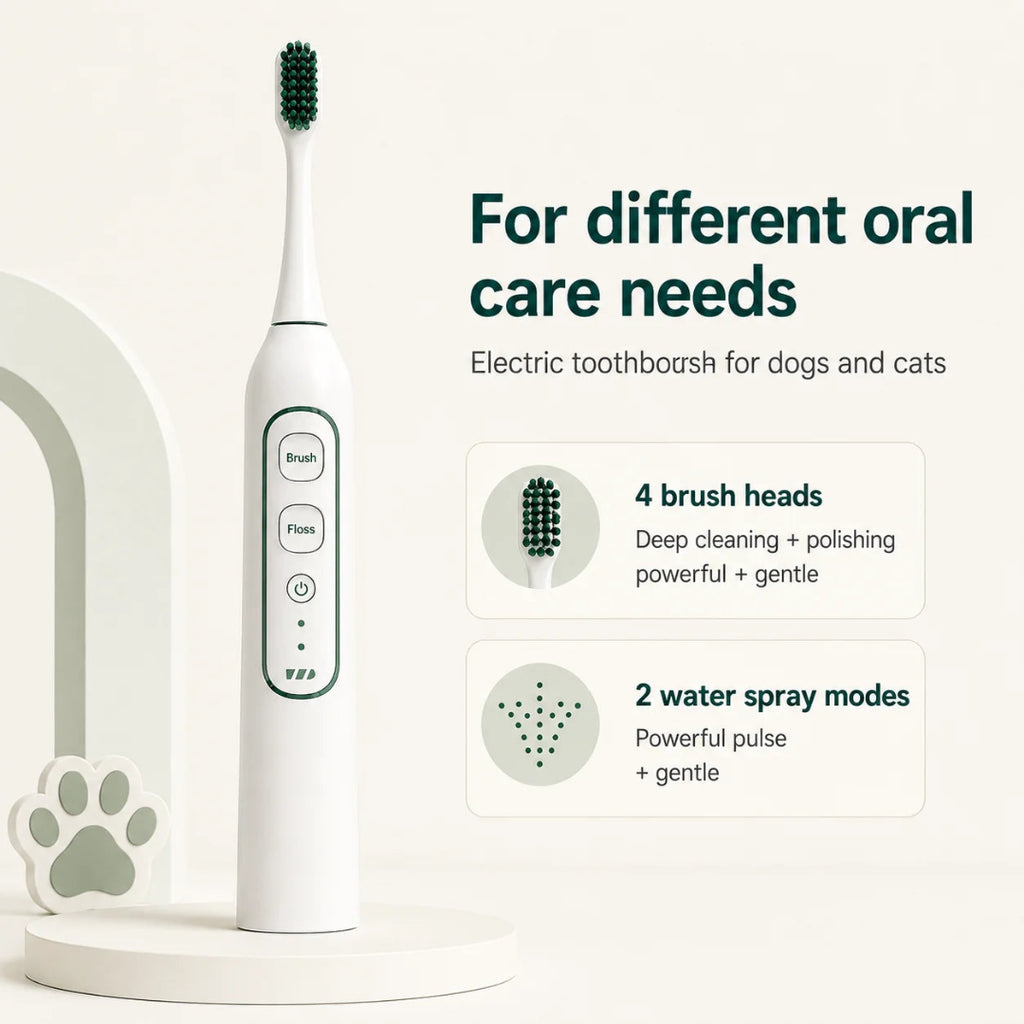 Professional electric pet toothbrush highlighting 4 custom brushing modes and 2 water flossing settings.