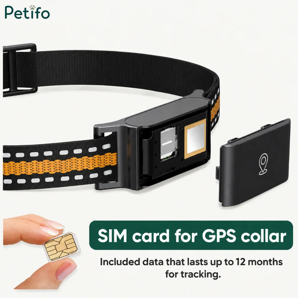 Open GPS collar showing the SIM card slot alongside a hand holding a SIM card.