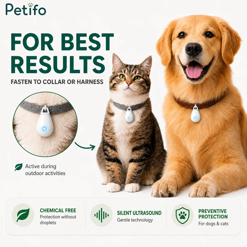 A cat and a dog wearing chemical-free ultrasonic tick protection tags fastened to their collars for outdoor activities.