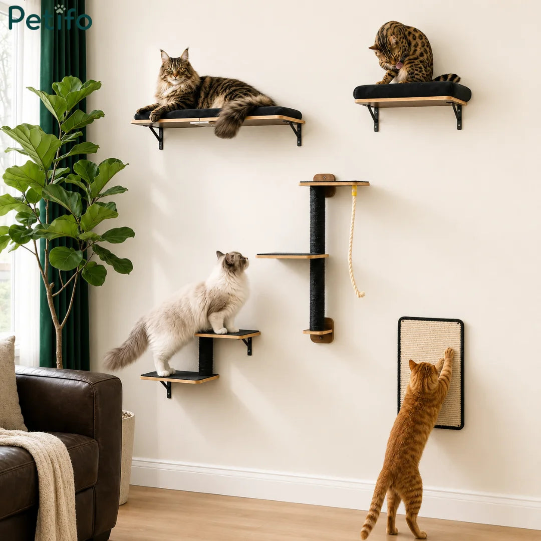 Multiple cats interacting with a Petifo wall-mounted cat climbing set featuring shelves and a scratching mat.