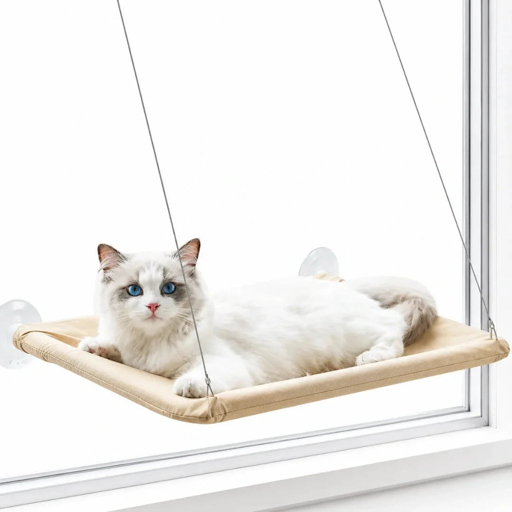 A white and grey cat with striking blue eyes resting comfortably on a beige window-mounted cat hammock attached to a glas