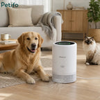 Pet-friendly Chuboor air purifier in a cozy living room setting.