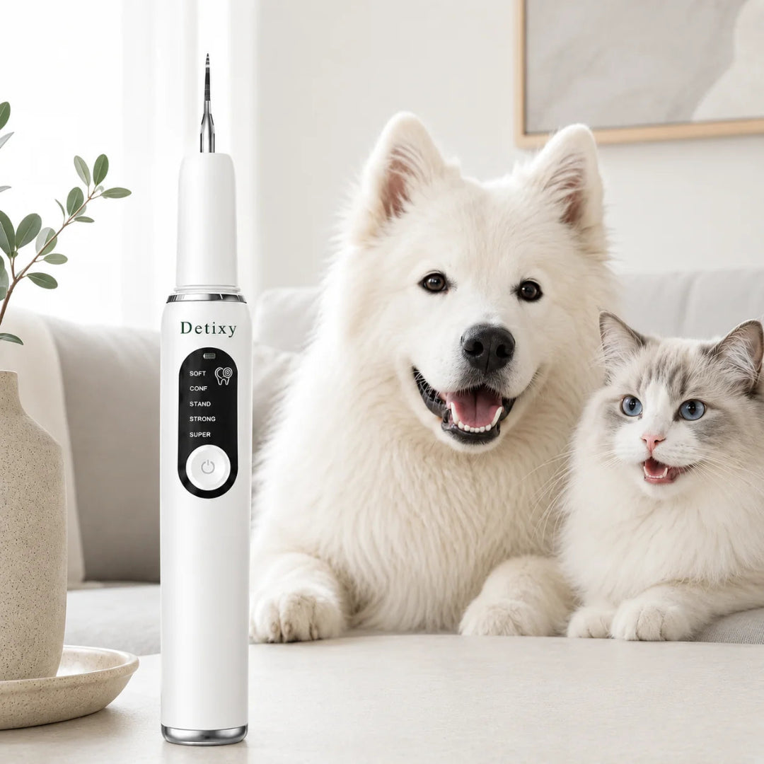 Detixy ultrasonic tooth scaler pro standing next to a happy, clean-toothed white dog and a long-haired cat on a couch.