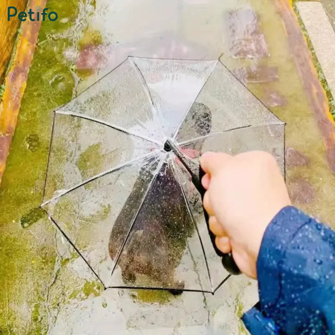 A person holding a clear umbrella outdoors in the rain with a wet pathway visible beneath.