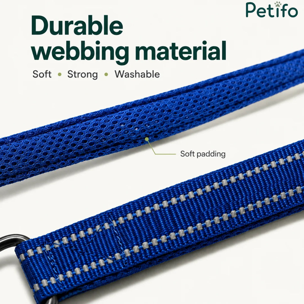 Close-up of durable, soft, and washable blue webbing material featuring extra padding and reflective stitching on a dog leash.