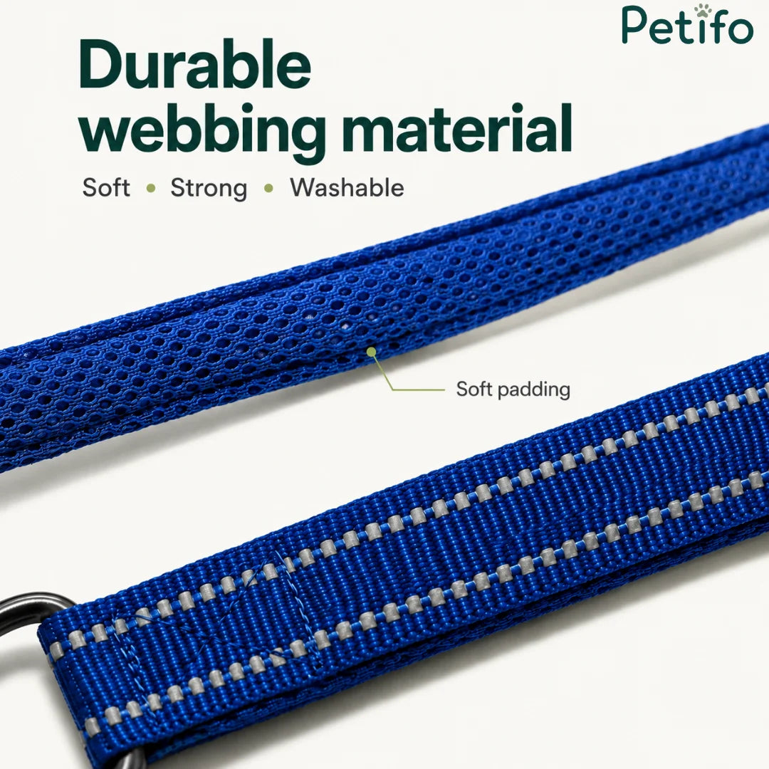 Close-up of durable, soft, and washable blue webbing material featuring extra padding and reflective stitching on a dog leash.
