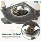 Close-up of a cat resting inside the unique clear acrylic perch of a grey cat tree with dimensions labeled for the platform.
