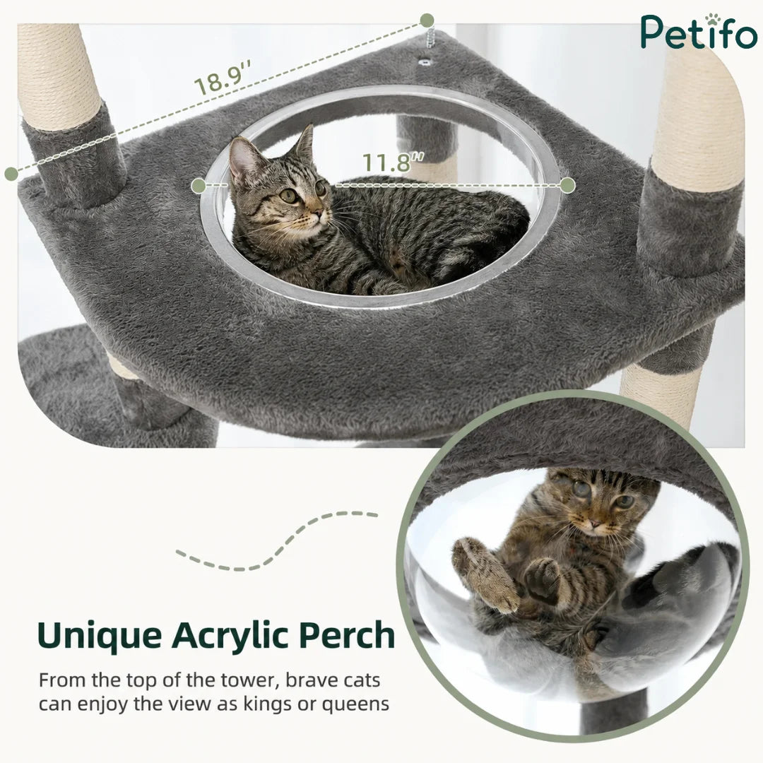 Close-up of a cat resting inside the unique clear acrylic perch of a grey cat tree with dimensions labeled for the platform.