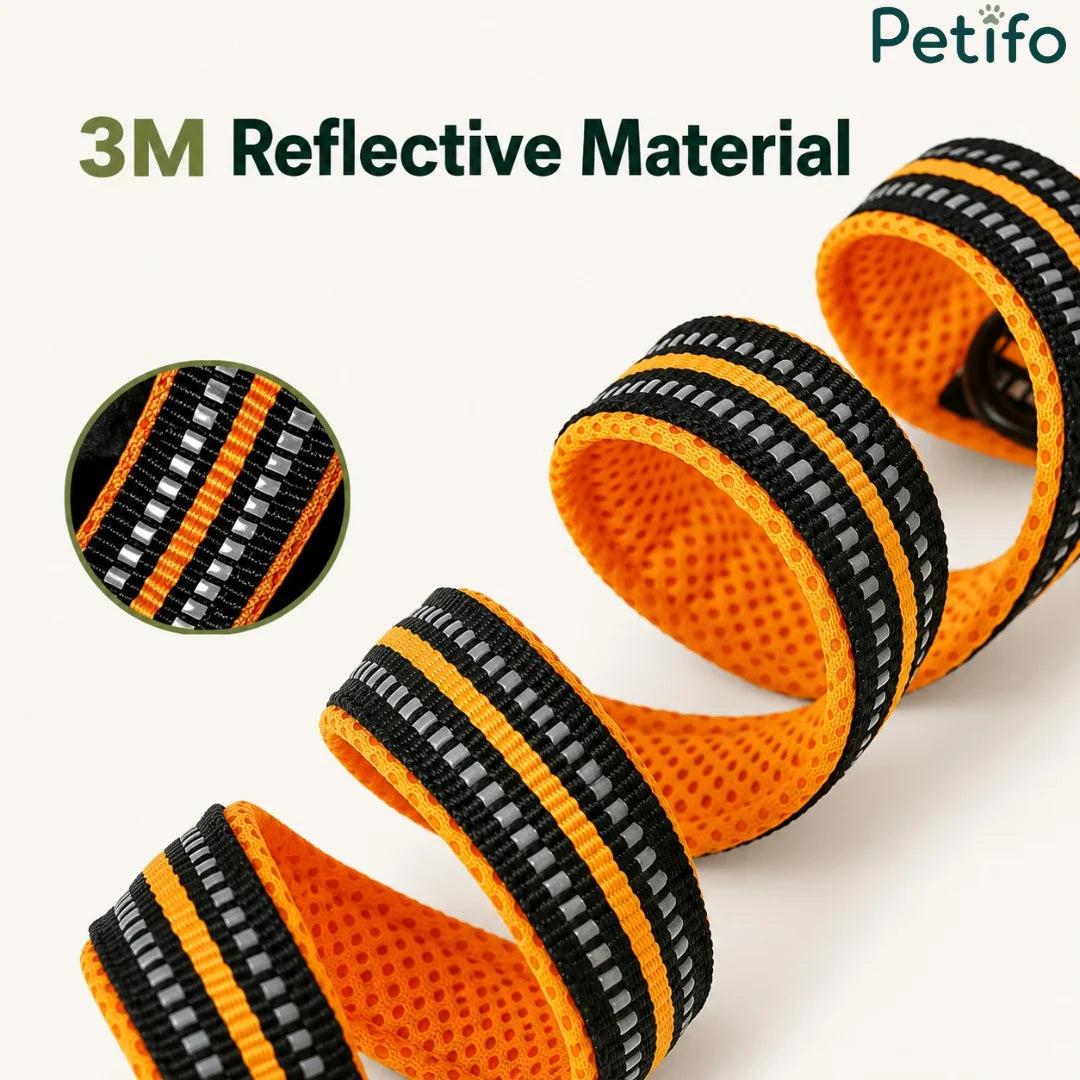 Close-up of the bright orange Petifo dog leash showing high-visibility 3M reflective stitching.