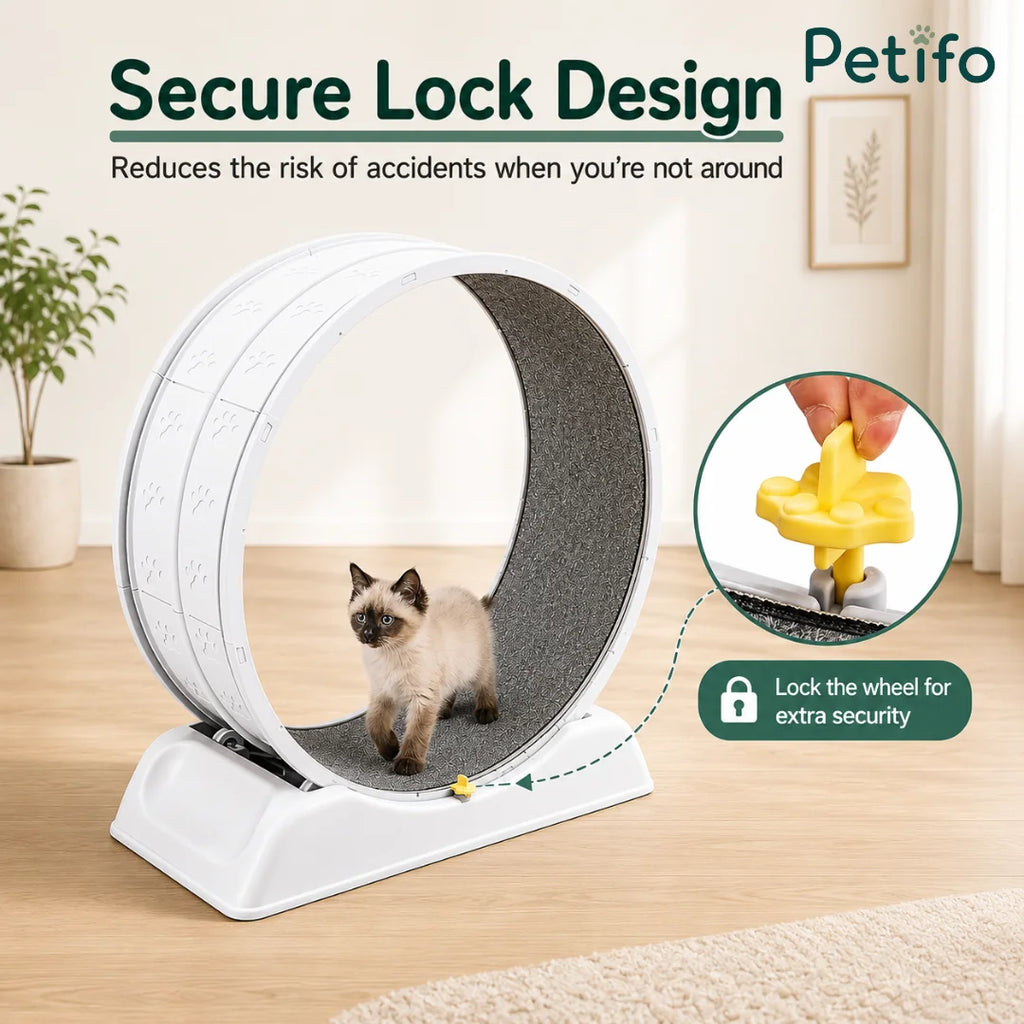 Close-up of the Petifo cat exercise wheel's secure lock design, which prevents movement for extra safety when not in use.