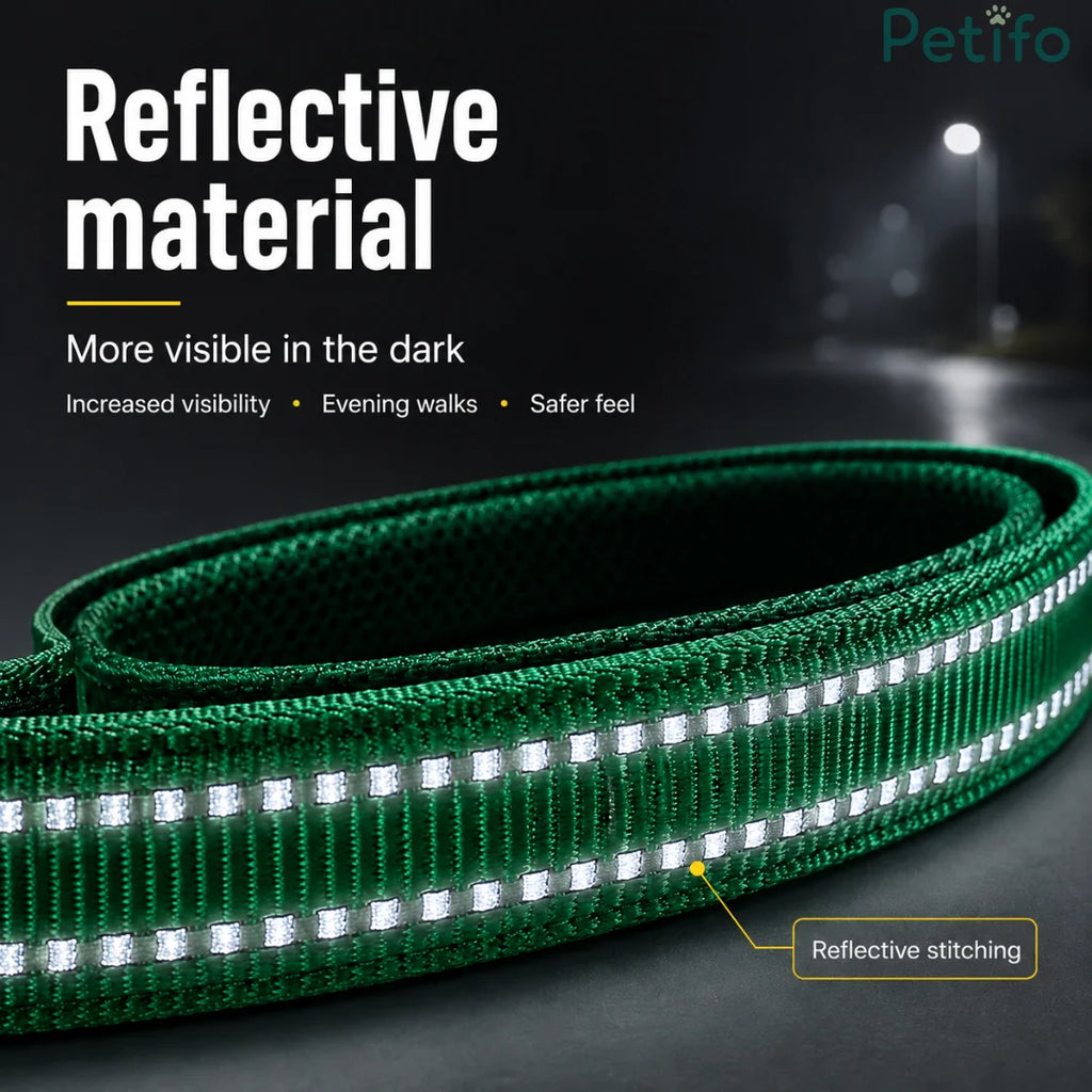 Close-up of green reflective material on a dog leash designed for increased visibility and safety during evening walks.