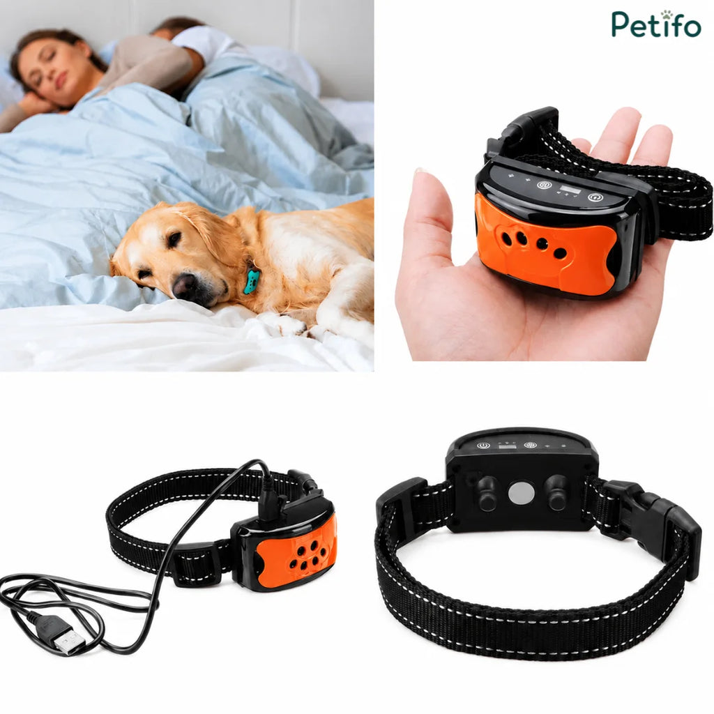 A golden retriever resting on a bed near a person, paired with close-up views of the black and orange anti-bark collar and USB charging cable.