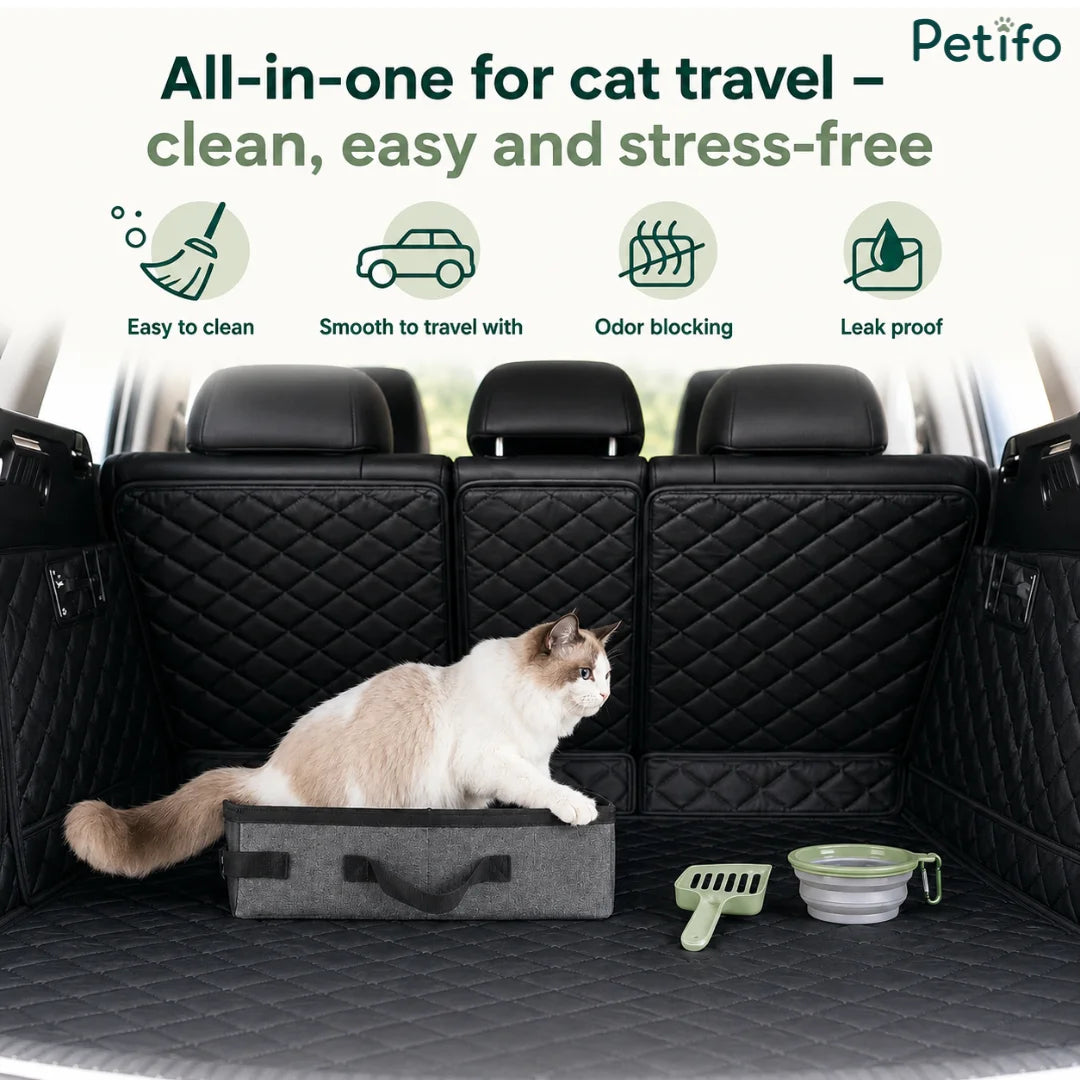 Portable collapsible cat litter box placed in the trunk of a car with a cat inside.