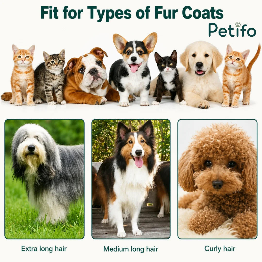 A collection of various cat and dog breeds demonstrating how the Petifo system is suitable for extra-long, medium-long, and curly fur coats.