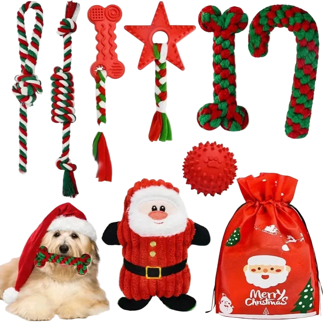A collection of Petifo Christmas dog toys arranged on a white background, featuring various red and green braided rope toys, chew toys, a spiked red ball, a squeaky Santa plush toy, a dog holding a bone toy in a Santa hat, and a red "Merry Christmas" gift bag.