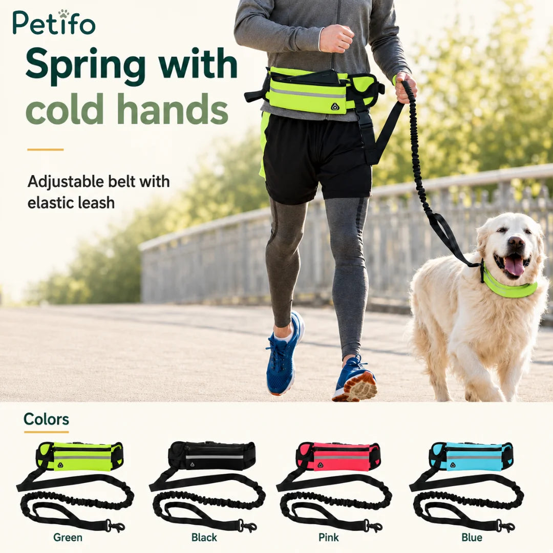 Display of a green running belt with an elastic leash and color variations including green, black, pink, and blue.