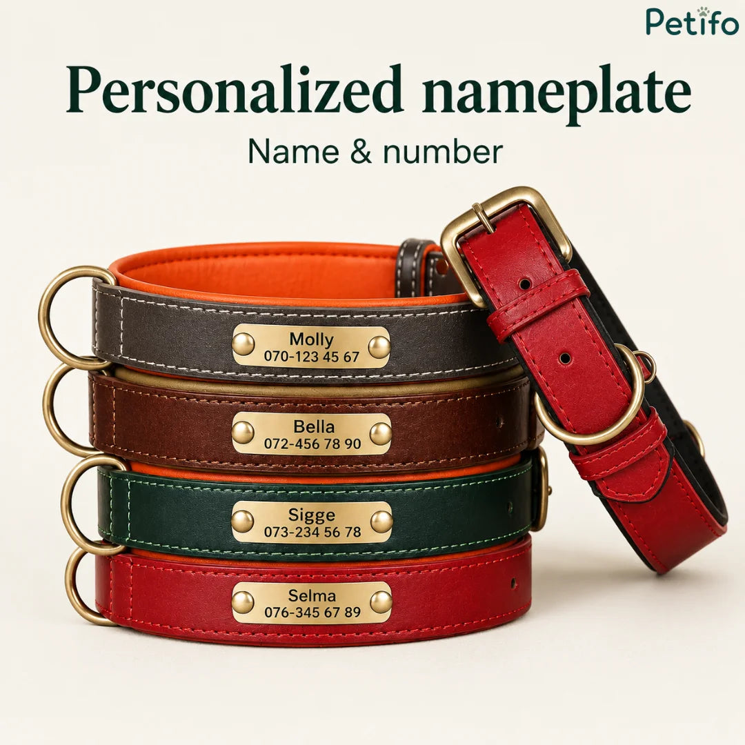 Stack of colorful leather pet collars featuring engraved brass nameplates, accompanied by a folded red collar showcasing the buckle.